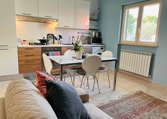 365 - Blu * トルトレート